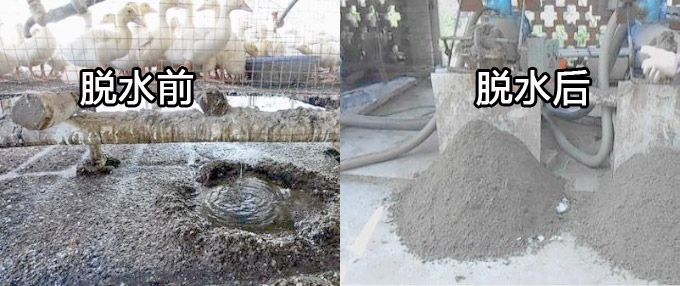 鴨糞能處理成有機肥嗎?都需要什么設備整套下來需要多少錢?(圖1) 鴨糞脫水前和脫水后